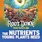 Mother Earth Mother Earth Root Down All Purpose Plant Starter 4.4 lb HGC733957 - alternate 4